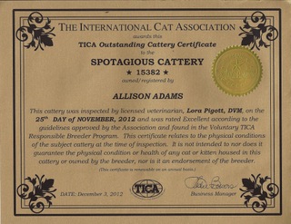 tica